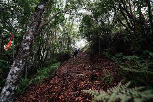 BIB: 
                            <button type="button" onclick="openModal(26201145)" class="btn btn-primary btn-sm float-right btn-popup" data-toggle="modal" data-target=".modal-high-quality">
                        <i class="fas fa-shopping-cart"></i> Add to Cart
                    </button>
                                            <button type="button" onclick="isThisMe(26201145, true)" class="btn btn-success btn-sm float-right btn-popup btn-isme hidden" data-toggle="tooltip" data-placement="bottom" title="นี่คือรูปของคุณใช่ไหม คลิกที่นี่เพื่อเอาเข้าอัลบั้ม">
                        <i class="fas fa-plus"></i> Add to album
                    </button>
                    <button type="button" onclick="isThisMe(26201145, false)" class="btn btn-warning btn-sm float-right btn-popup btn-isnotme hidden">
                        <i class="fas fa-ban"></i> Remove from album
                    </button>